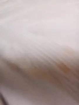 sulove xx online show from 31, 3, 2026