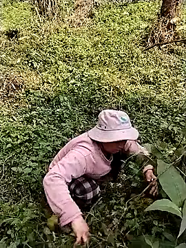 quynhkoolbae online show from 10, 3, 2026