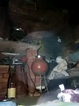 Pinki thakur 1 online show from 3, 4, 2026