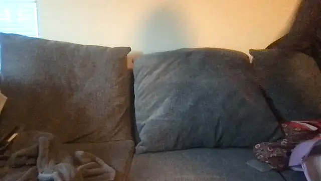 RichDaddy60 online show from 4, 11, 2025