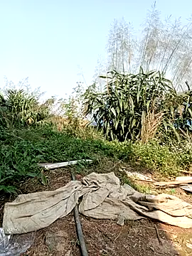 Snapshot of linda_bae00 chatting on 2, 3, 2026 linda bae00 online show from 2, 3, 2026