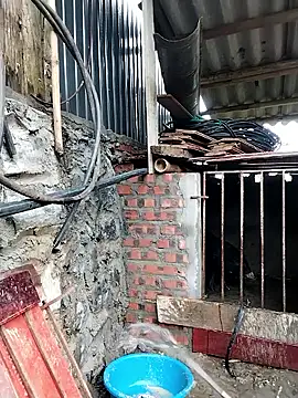 Snapshot of linda_bae00 chatting on 26, 2, 2026 linda bae00 online show from 26, 2, 2026