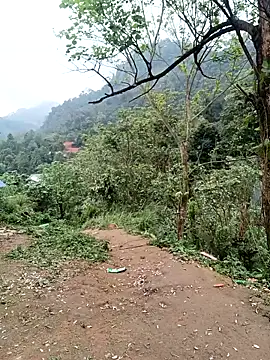 Snapshot of linda_bae00 chatting on 6, 3, 2026 linda bae00 online show from 6, 3, 2026