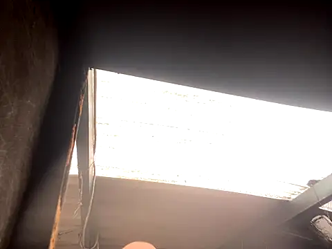 Snapshot of rider239 chatting on 2, 10, 2025 rider239 online show from 2, 10, 2025