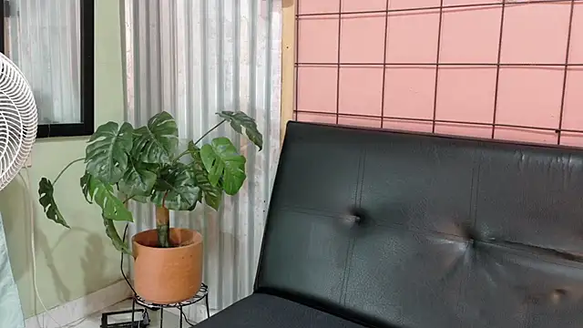 Daiisy kiss online show from 4, 2, 2026