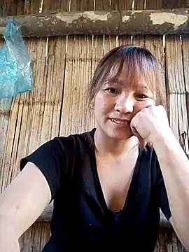 Mini3333 online show from 12, 4, 2026