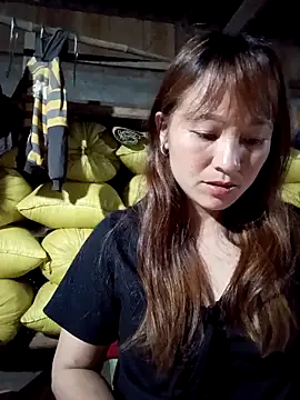 Mini3333 online show from 14, 4, 2026