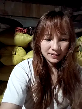 Mini3333 online show from 2, 4, 2026