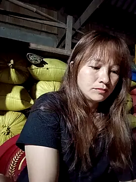 Mini3333 online show from 11, 4, 2026