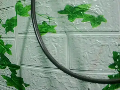 daros453 online show from 3, 11, 2025