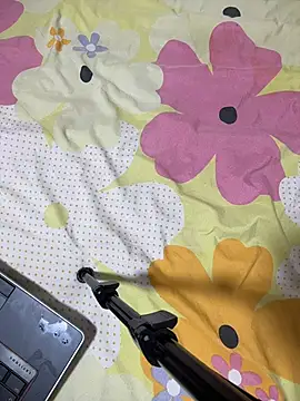 HaltBrand online show from 16, 12, 2025