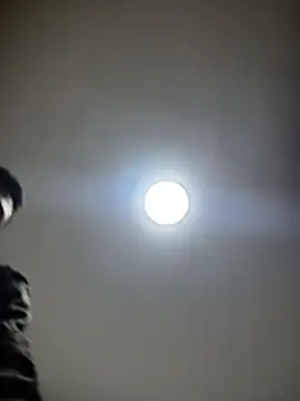 HaltBrand online show from 19, 12, 2025