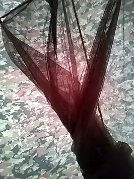 avatar3120 online show from 2, 12, 2025