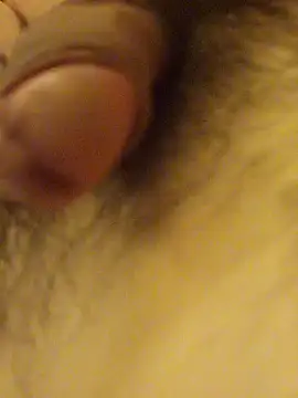 Hl1979 online show from 2, 4, 2026