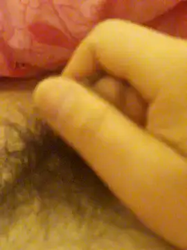 Hl1979 online show from 27, 2, 2026