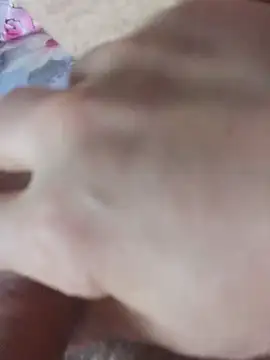 Hl1979 online show from 24, 2, 2026