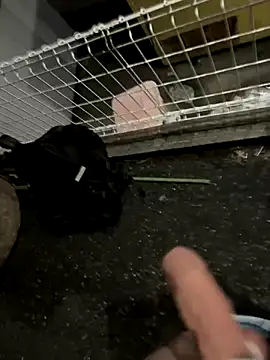 rinne0110 online show from 13, 9, 2025