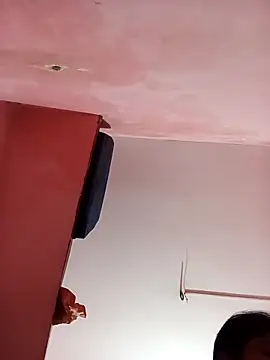 Apkisona8 online show from 24, 2, 2026