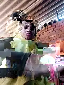 Soniya pandit online show from 9, 9, 2025