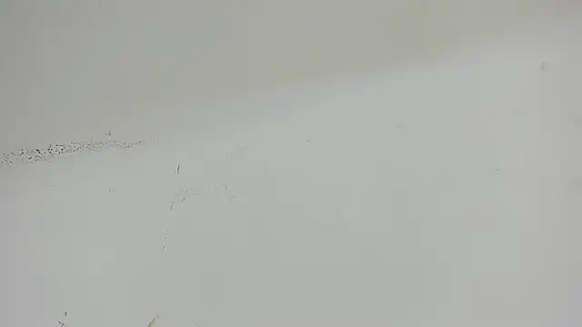 Aisha hotts777 online show from 8, 4, 2026