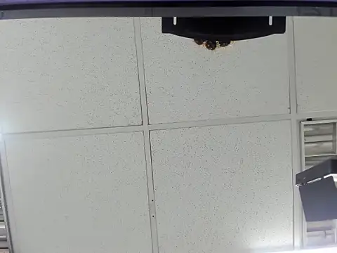 Aisha hotts777 online show from 20, 3, 2026