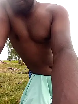 dolphiinn online show from 22, 2, 2026