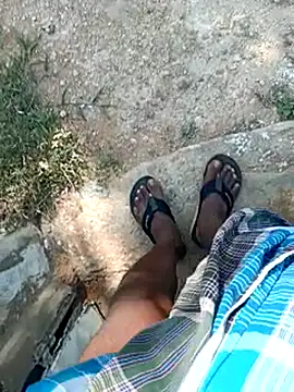 dolphiinn online show from 12, 4, 2026