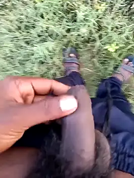 dolphiinn online show from 26, 2, 2026