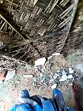 dolphiinn online show from 30, 11, 2025