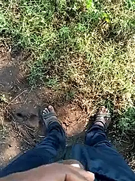 dolphiinn online show from 25, 2, 2026