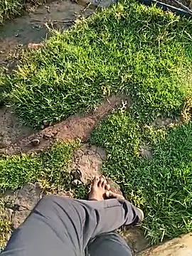 dolphiinn online show from 21, 3, 2026