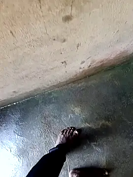 dolphiinn online show from 3, 12, 2025