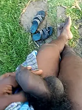 dolphiinn online show from 8, 1, 2026