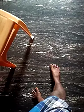 dolphiinn online show from 1, 12, 2025