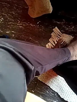 dolphiinn online show from 26, 11, 2025