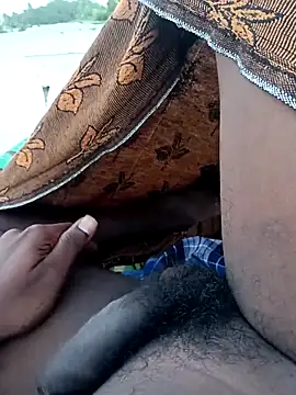 dolphiinn online show from 3, 11, 2025