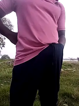 dolphiinn online show from 3, 2, 2026