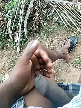 dolphiinn online show from 13, 4, 2026