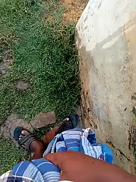 dolphiinn online show from 7, 3, 2026