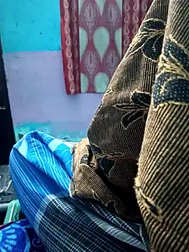 dolphiinn online show from 29, 11, 2025