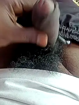 dolphiinn online show from 5, 12, 2025