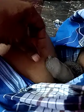 dolphiinn online show from 25, 11, 2025