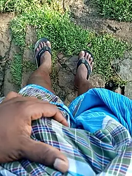 dolphiinn online show from 16, 4, 2026