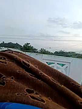 dolphiinn online show from 9, 10, 2025