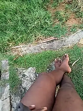 dolphiinn online show from 11, 1, 2026