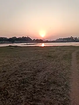 dolphiinn online show from 12, 2, 2026