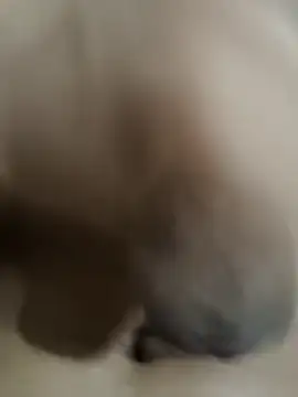 official plsr5 online show from 4, 10, 2025