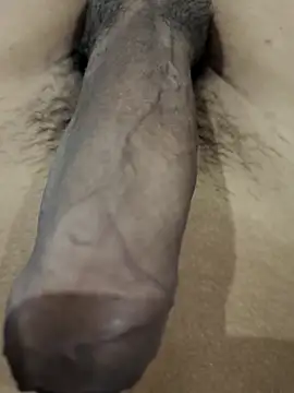 official plsr5 online show from 15, 9, 2025