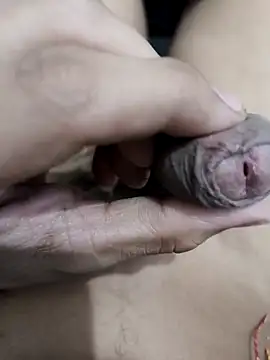 official plsr5 online show from 4, 11, 2025