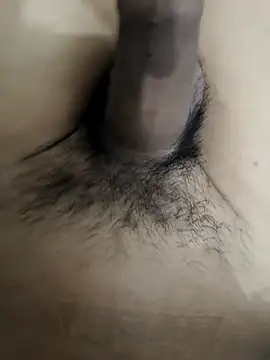 official plsr5 online show from 23, 10, 2025